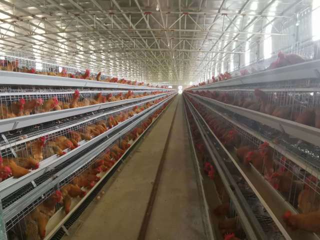 win007足球即时比分