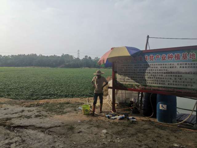 win007足球即时比分