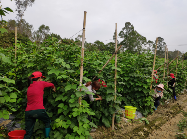 win007足球即时比分