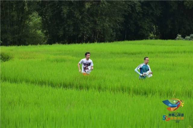 win007足球即时比分