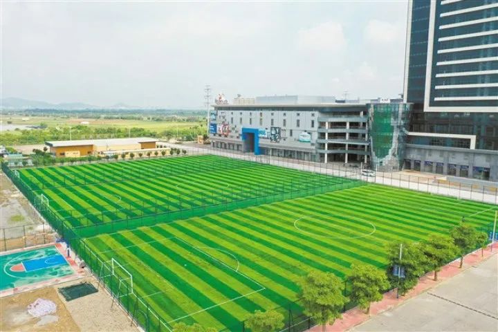 位于宝奥城的11人制足球场