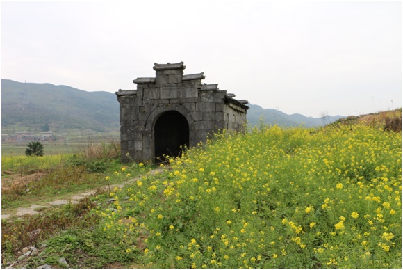 win007足球即时比分