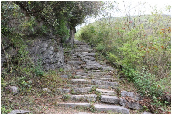 win007足球即时比分