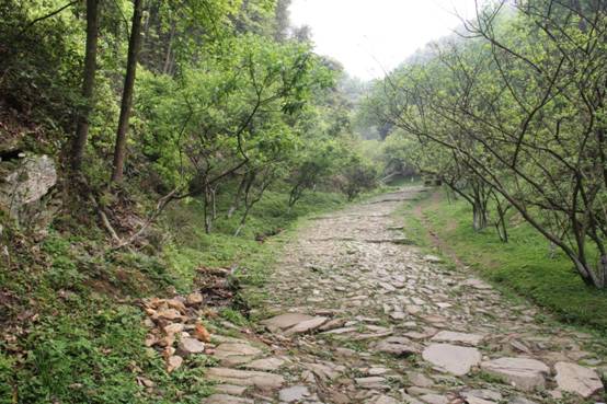 win007足球即时比分