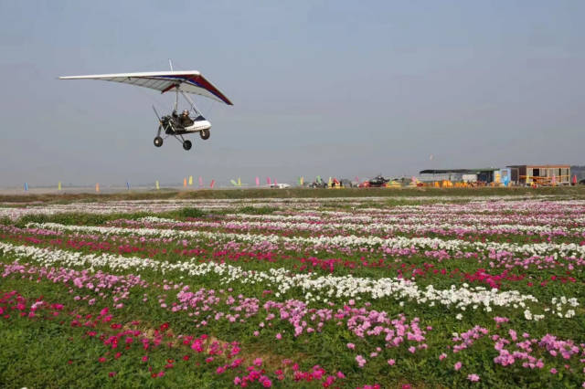 win007足球即时比分