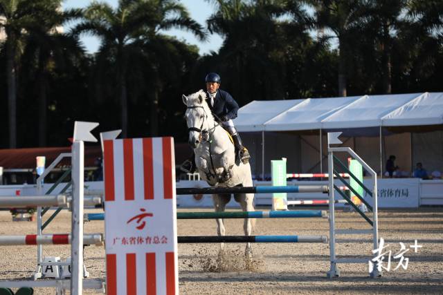 奥运骑手李振强出战。 奥运骑手李振强出战。