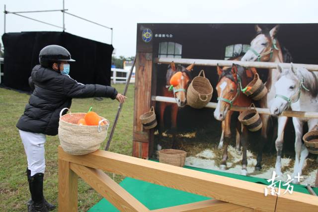 现场准备了马术趣味游戏。 现场准备了马术趣味游戏。