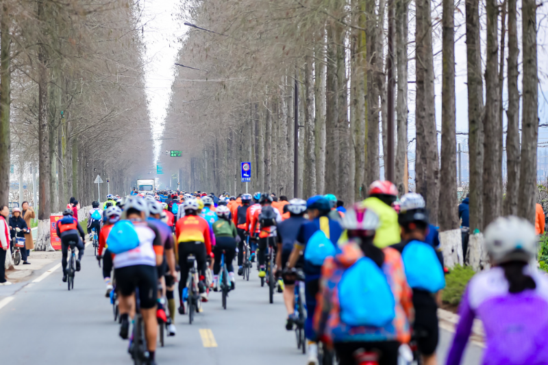 9cc088a9e9fb44e1a8cd656a78c82eef.jpg 9cc088a9e9fb44e1a8cd656a78c82eef.jpg