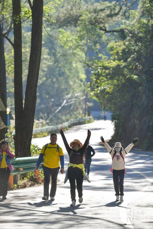 徒步爱好者在笔架山林中穿行，他们背着行囊，精神饱满，充满活力。南方+记者 曾亮超 摄