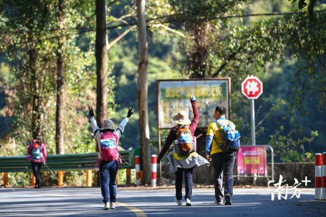 选手们一边徒步，一边感受清城的自然生态之美。南方+记者 曾亮超 摄