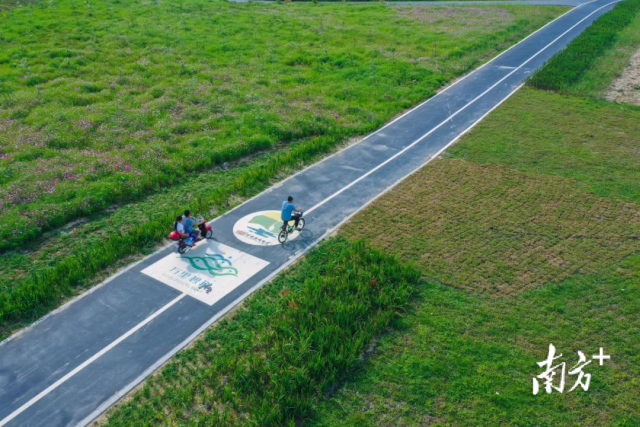 省级体育赛事因优良的生态、保存完好的村落而来到丹灶。图为广东南海金沙岛国家湿地公园优美的生态环境。通讯员供图