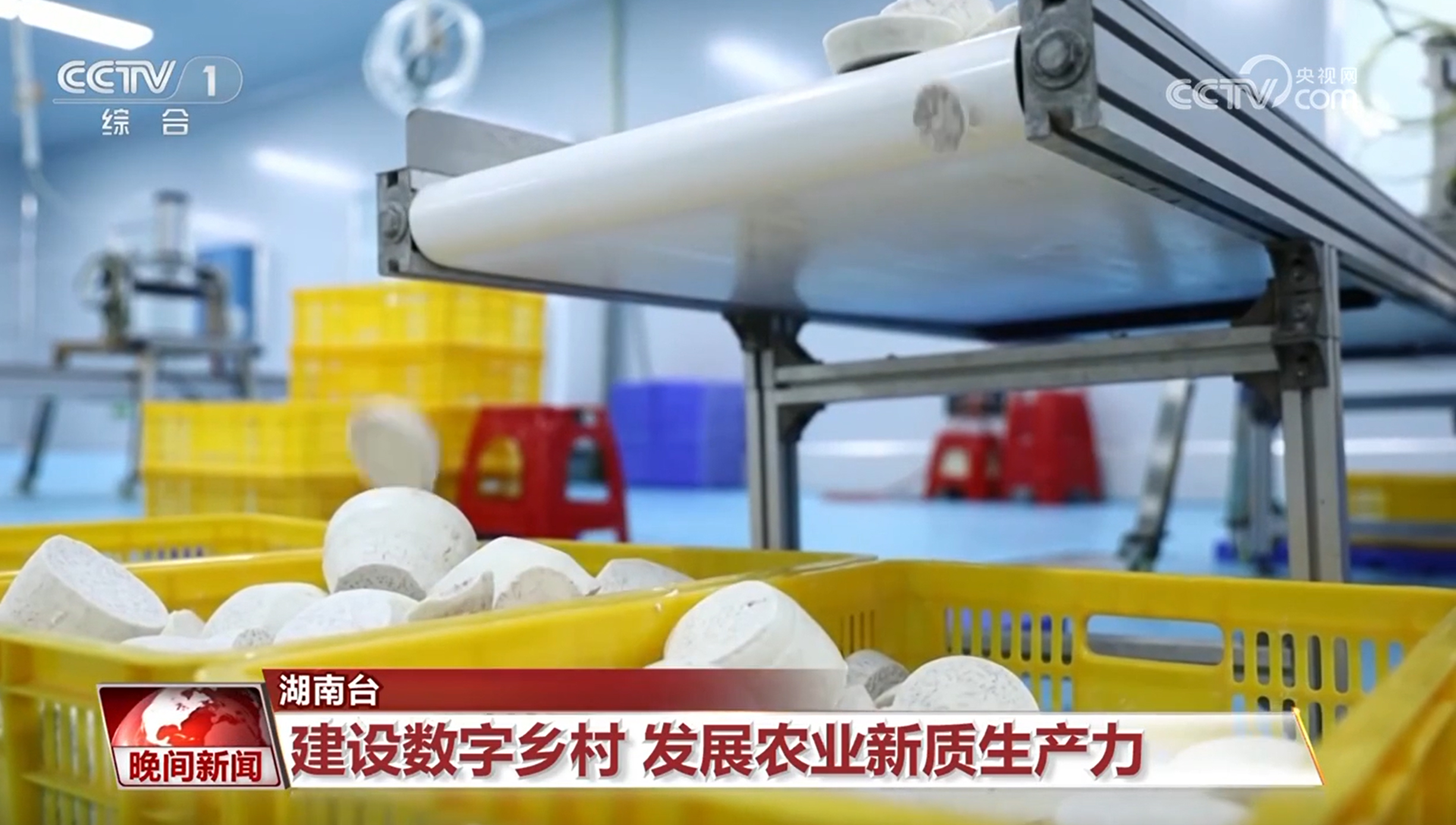 win007足球即时比分