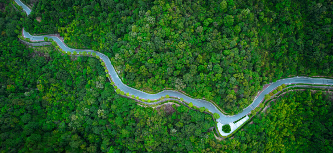 天河区将结合森林步道的基础设施提升，同步启动文旅项目策划及运营工作，通过引入登山徒步、越野跑、马拉松等多种赛事活动，引入社会各方力量共同运营。图源：广州市生态环境局天河分局