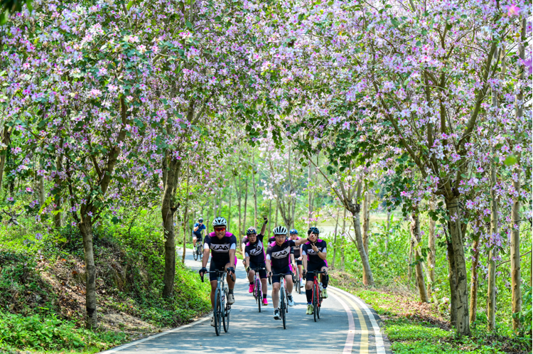 win007足球即时比分