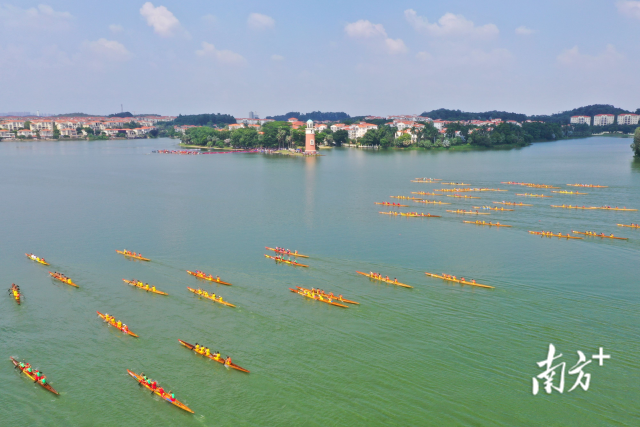 佛山龙舟气氛火热升腾。