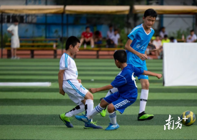 英德全市现有“全国青少年校园足球特色学校”26所、“广东省校园足球推广学校”7所,校园足球队超百支。英德市文广旅体局供图 英德全市现有“全国青少年校园足球特色学校”26所、“广东省校园足球推广学校”7所,校园足球队超百支。英德市文广旅体局供图